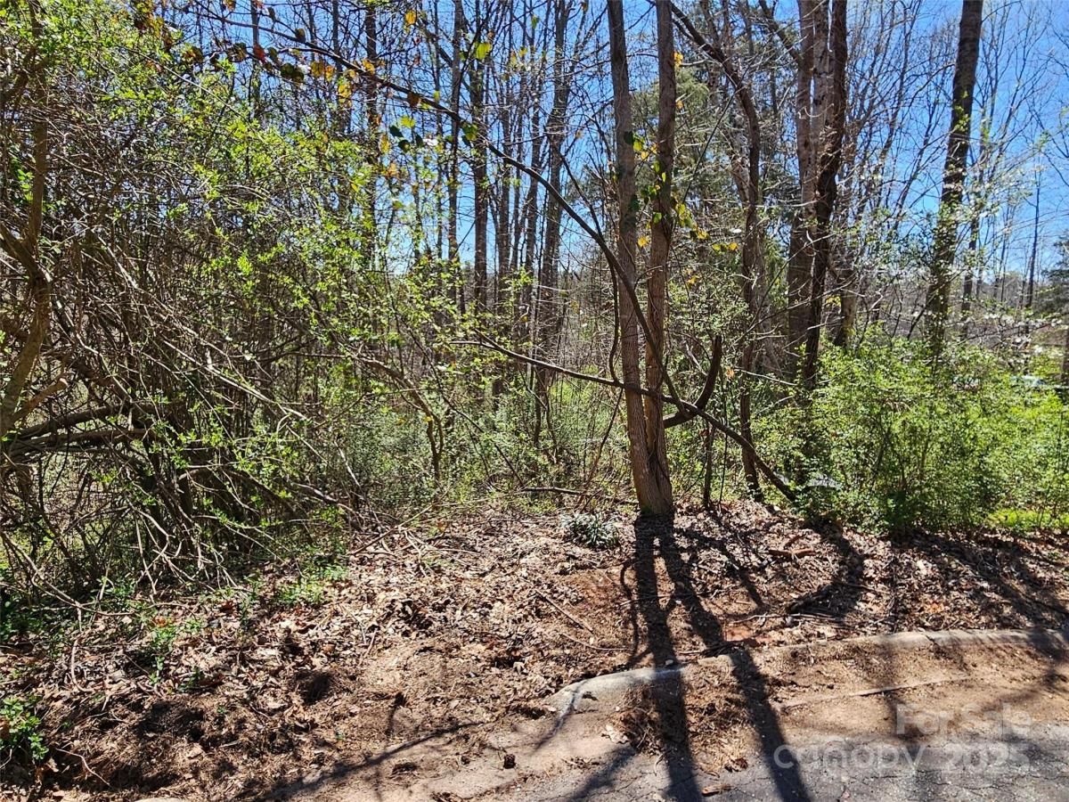 MLS #CAR4121287 image #0