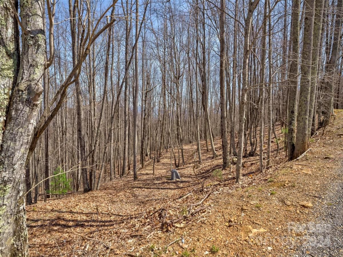 MLS #CAR4121385 image #12