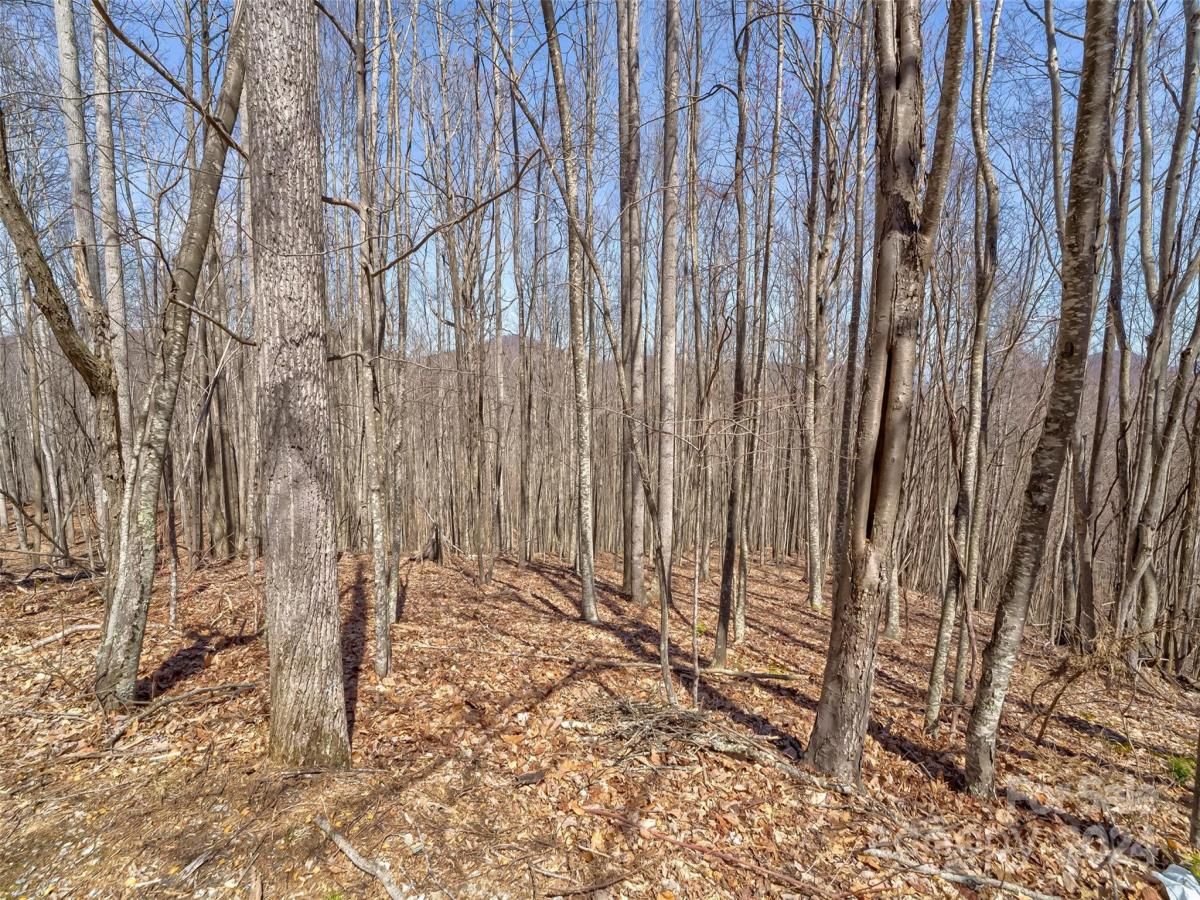 MLS #CAR4121385 image #14