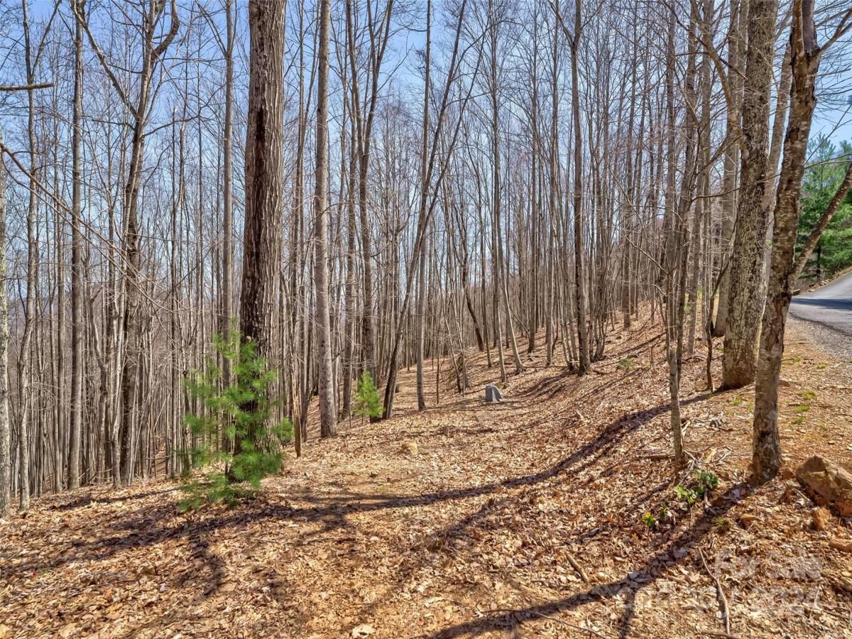 MLS #CAR4121385 image #15