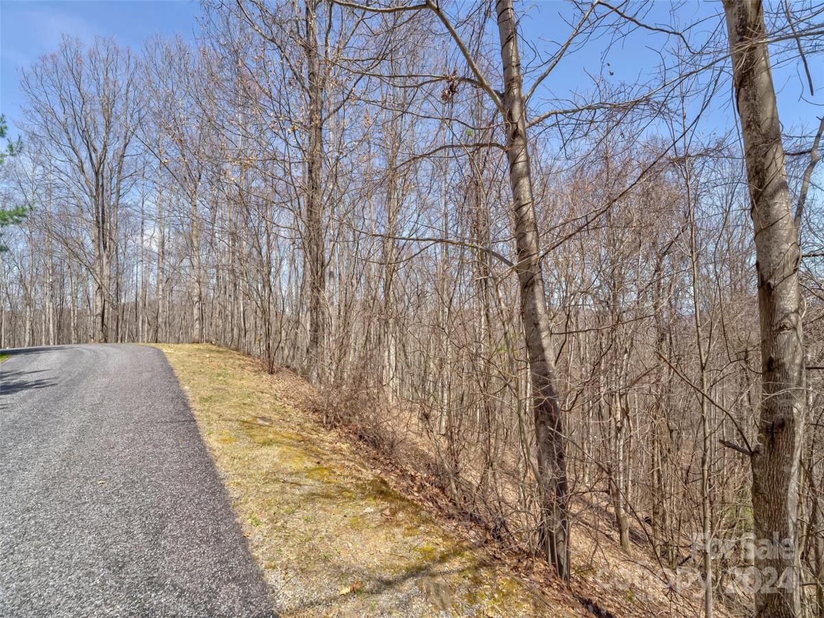 MLS #CAR4121385 image #16