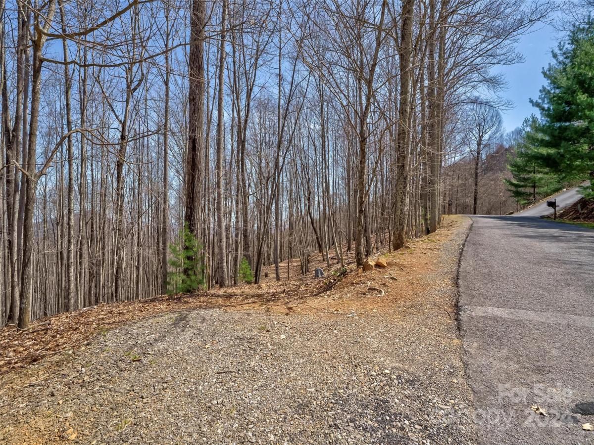 MLS #CAR4121385 image #17