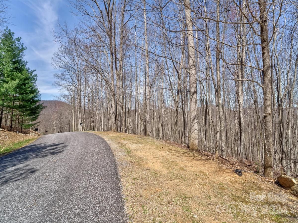 MLS #CAR4121385 image #3