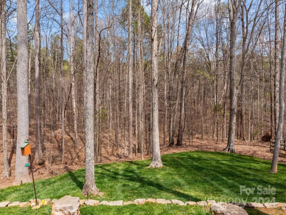 MLS #CAR4122071 image #43