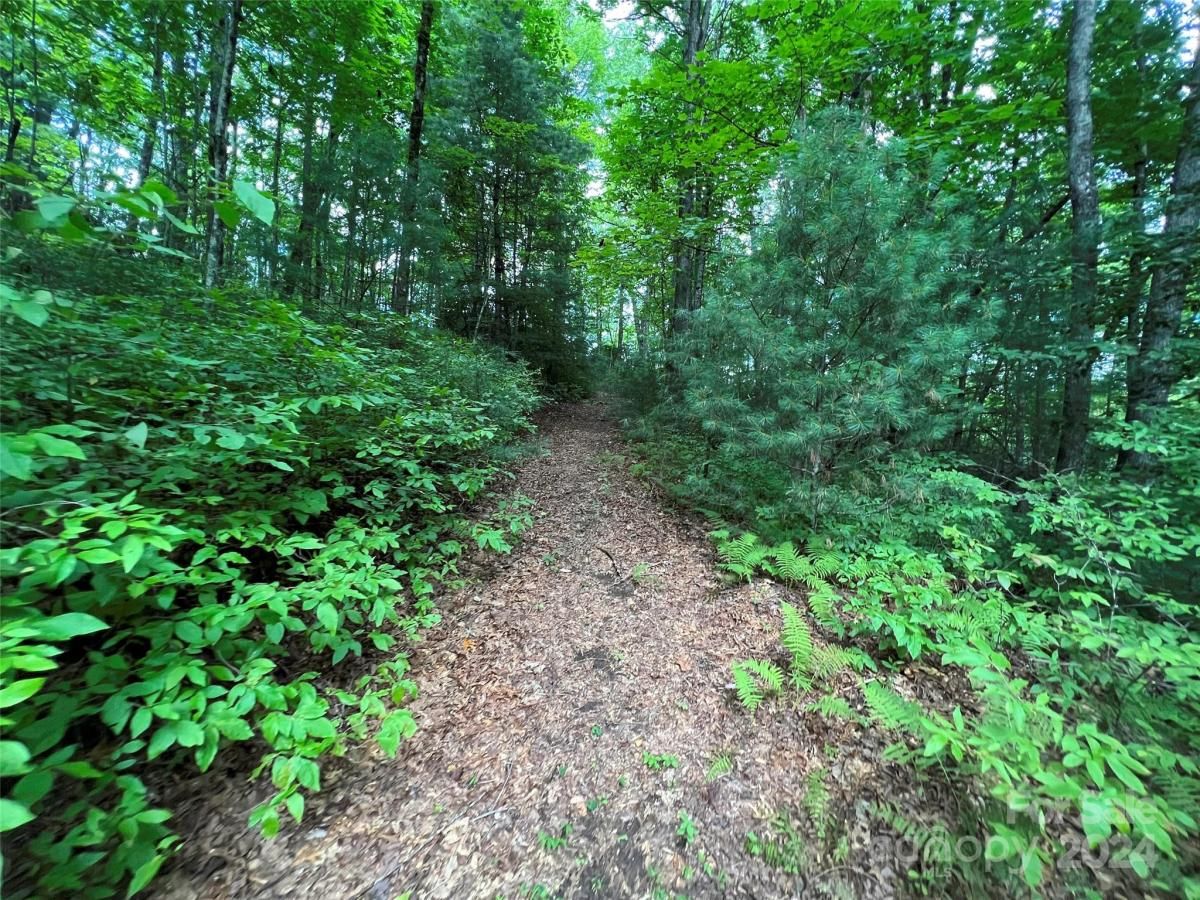 MLS #CAR4122212 image #0