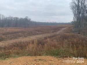 MLS #CAR4122691 image #0