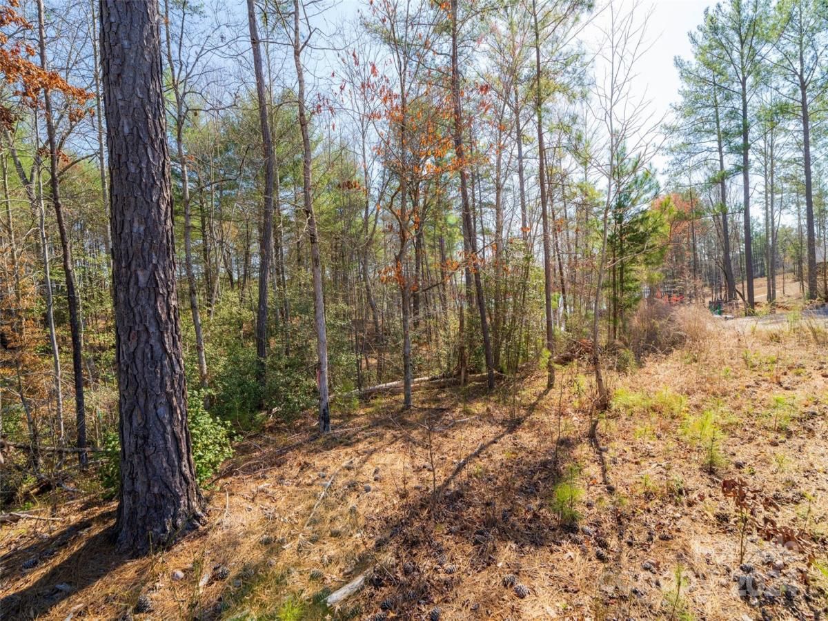 MLS #CAR4122775 image #10