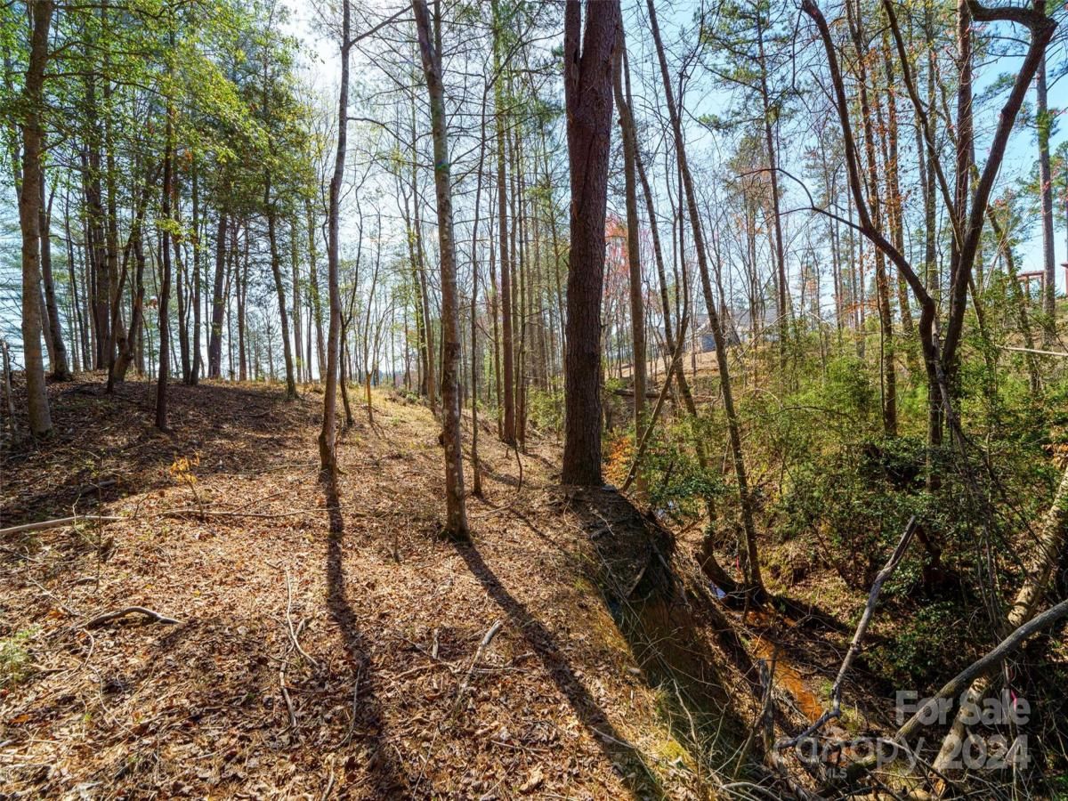 MLS #CAR4122775 image #12