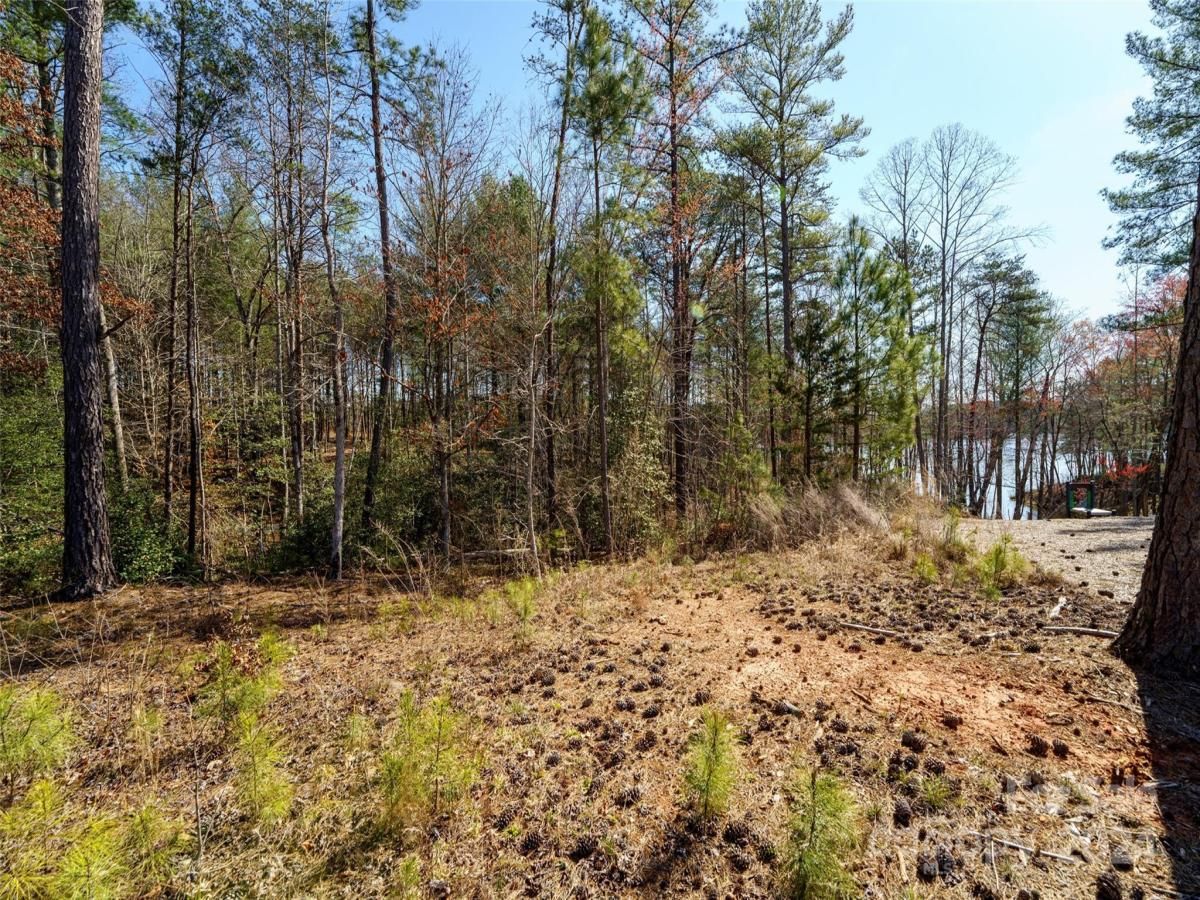 MLS #CAR4122775 image #9