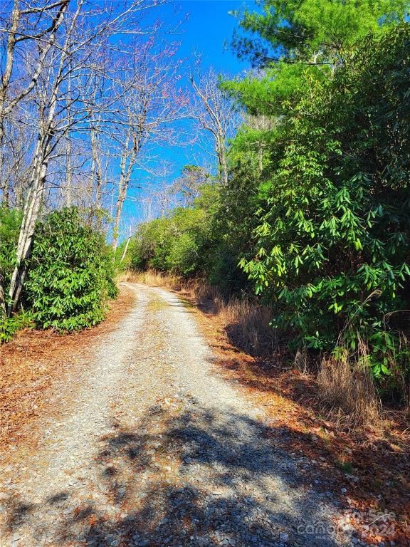 MLS #CAR4123217 image #2