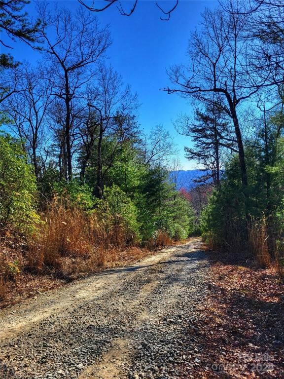 MLS #CAR4123217 image #3