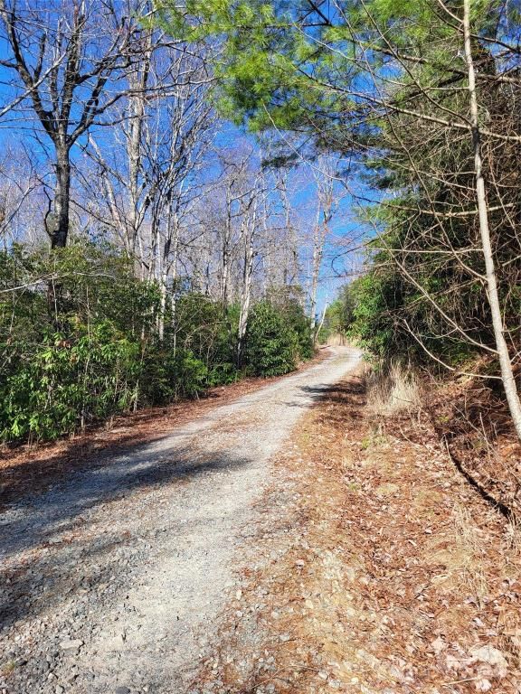 MLS #CAR4123217 image #4