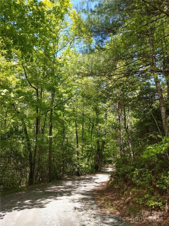 MLS #CAR4123217 image #5