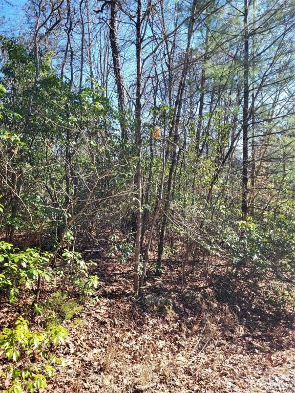 MLS #CAR4123217 image #6