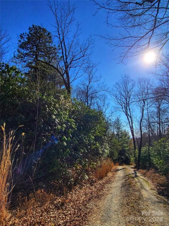 MLS #CAR4123217 image #7