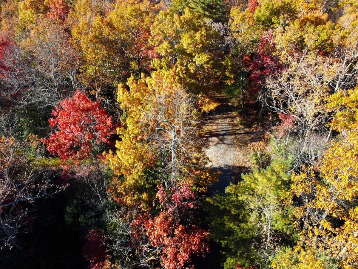 MLS #CAR4123217 image #1