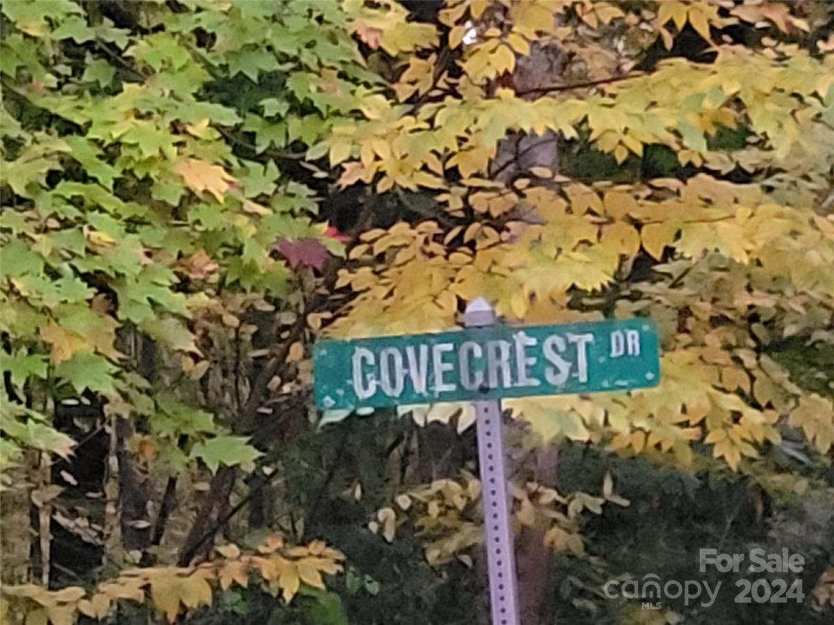 MLS #CAR4123872 image #10