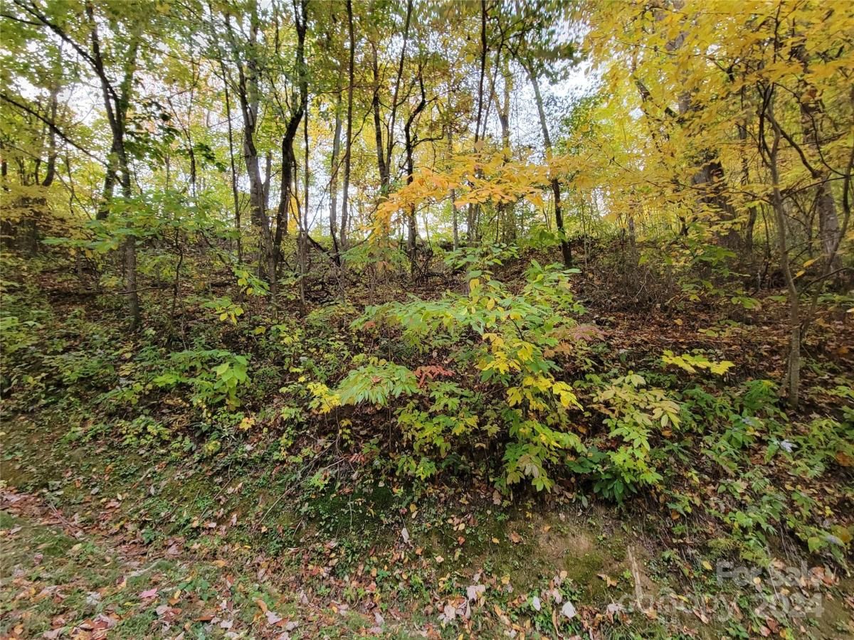 MLS #CAR4123872 image #3