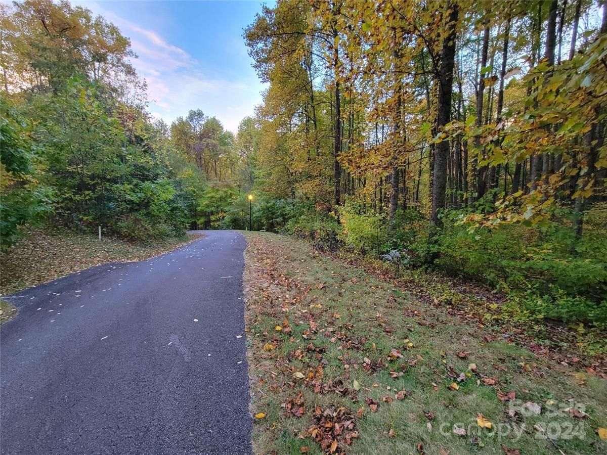 MLS #CAR4123872 image #5