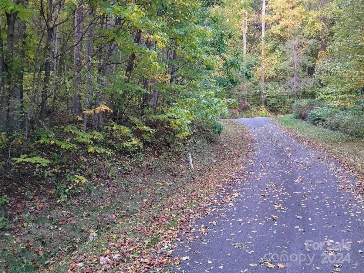 MLS #CAR4123872 image #7