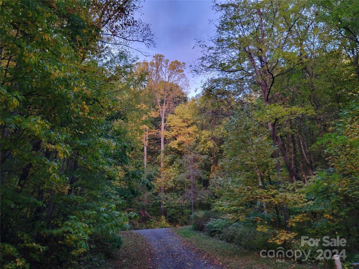 MLS #CAR4123872 image #8