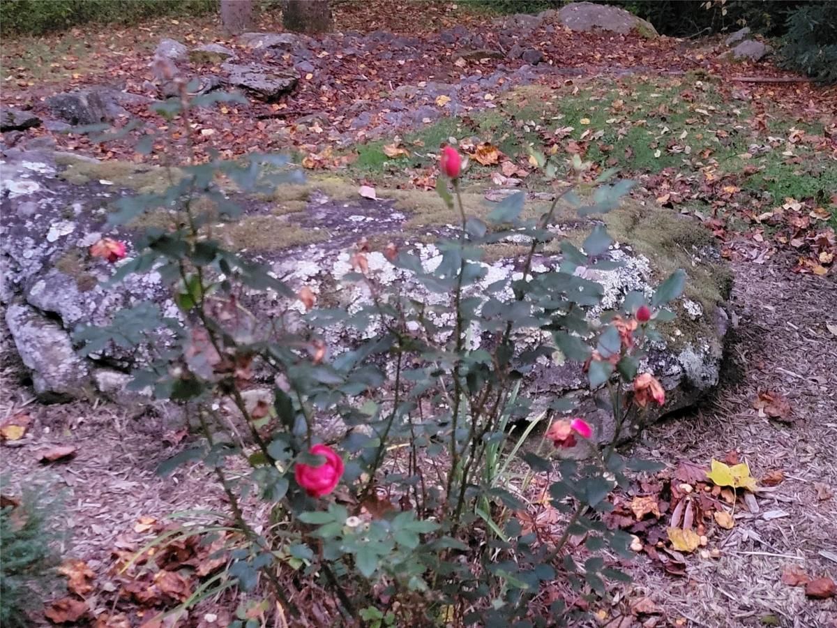 MLS #CAR4123872 image #9