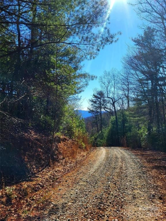 MLS #CAR4124538 image #1