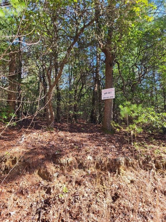 MLS #CAR4124538 image #3