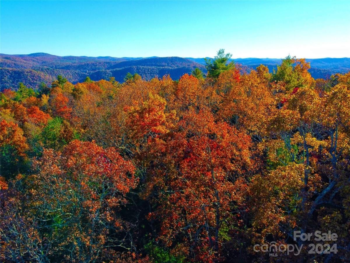 MLS #CAR4124538 image #0