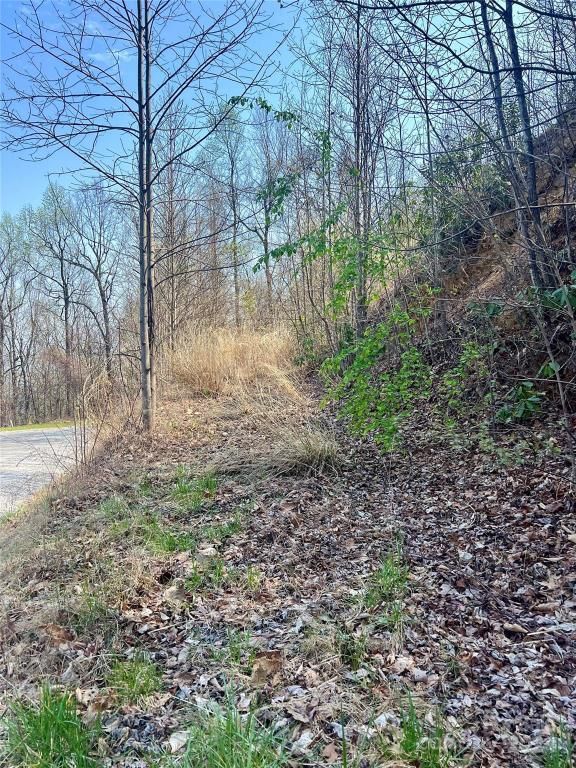 MLS #CAR4124901 image #19