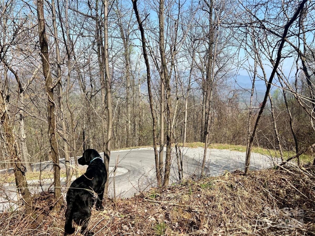 MLS #CAR4124901 image #0