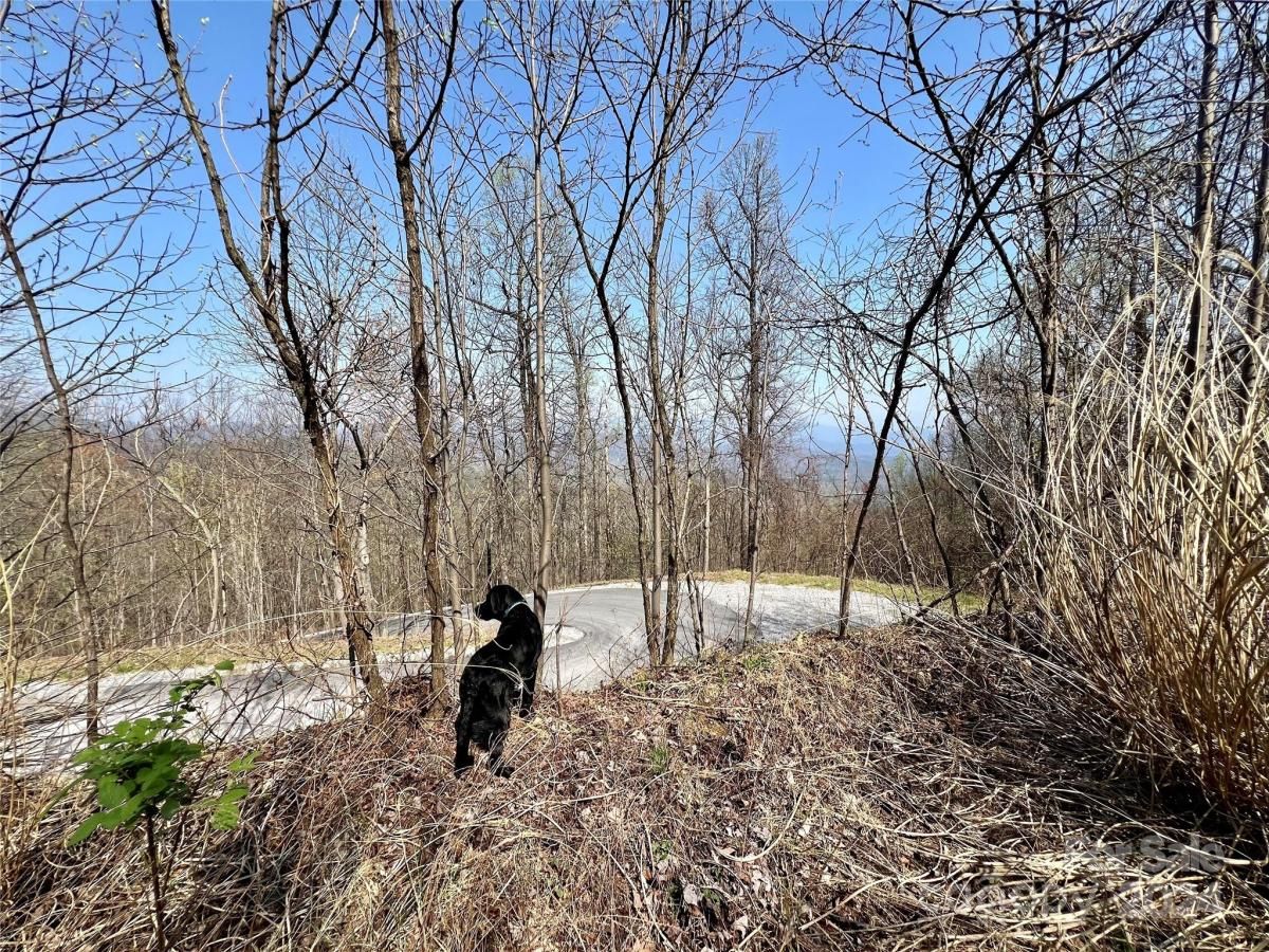 MLS #CAR4124901 image #1