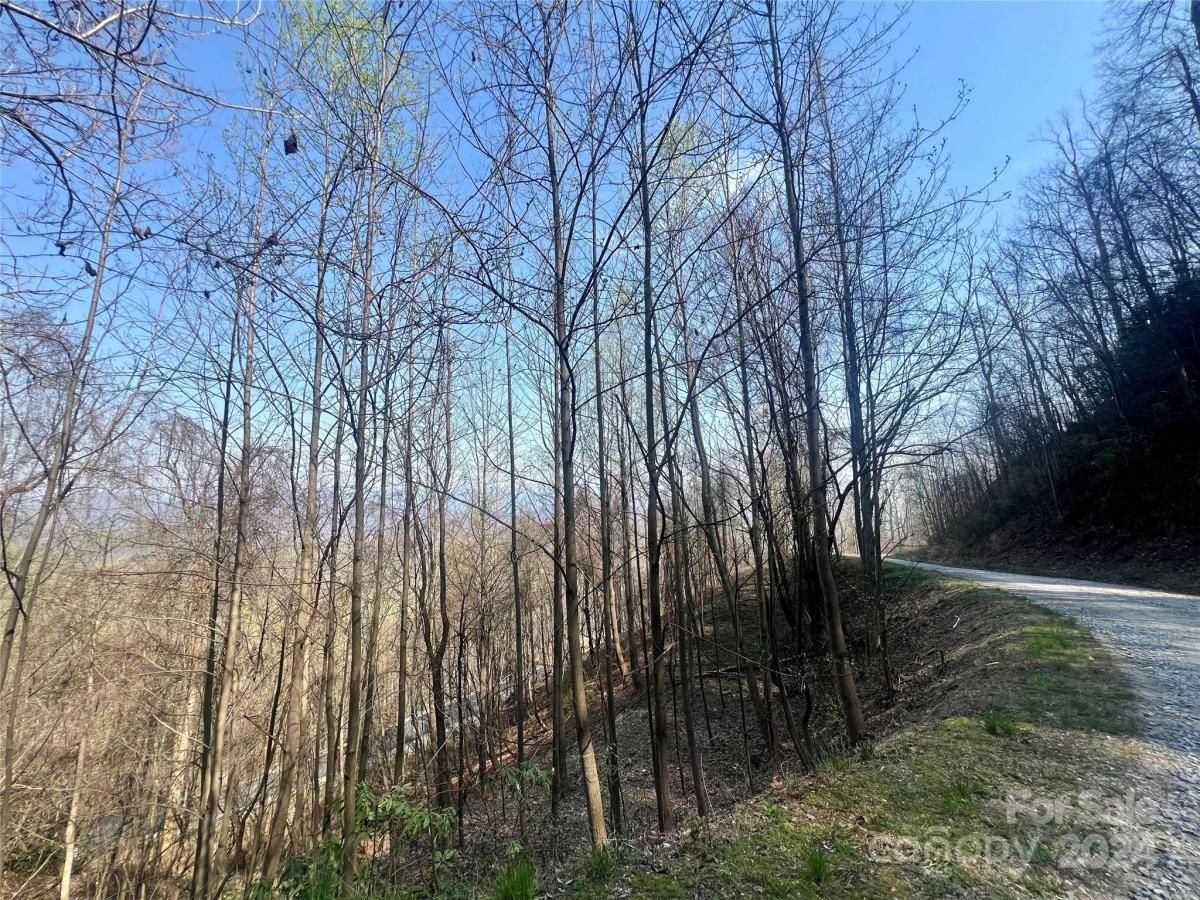 MLS #CAR4124901 image #10