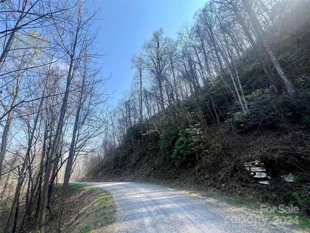 MLS #CAR4124901 image #11