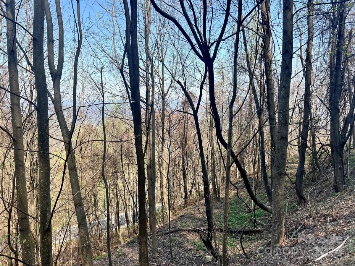 MLS #CAR4124901 image #12