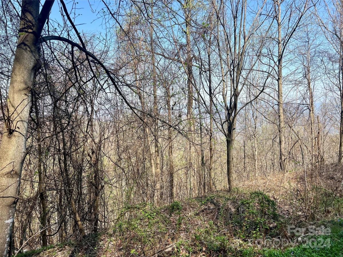 MLS #CAR4124901 image #15