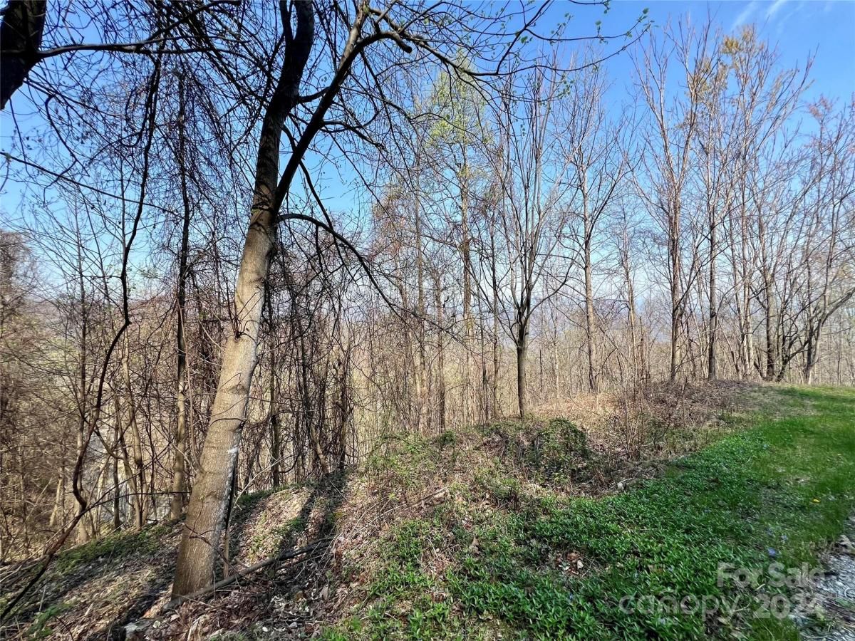 MLS #CAR4124901 image #16