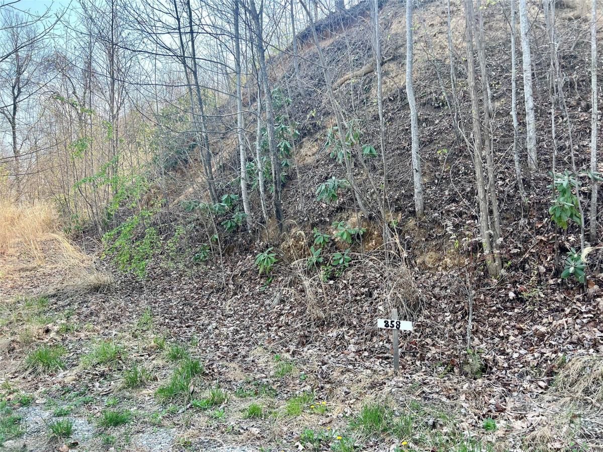 MLS #CAR4124901 image #17