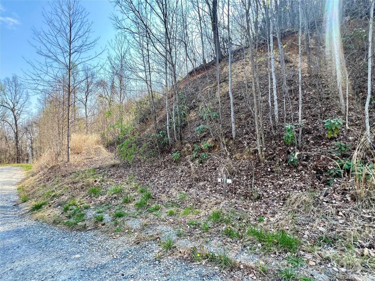 MLS #CAR4124901 image #18