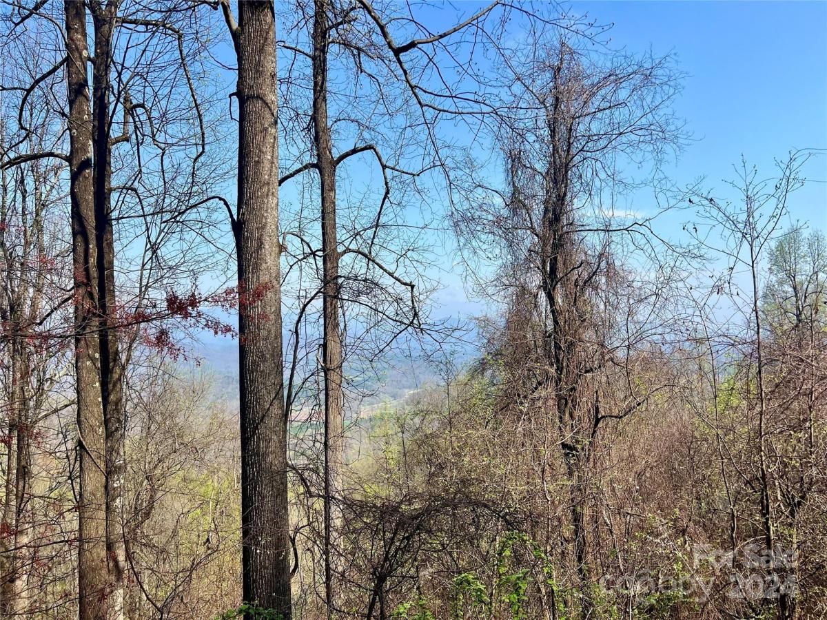 MLS #CAR4124901 image #2