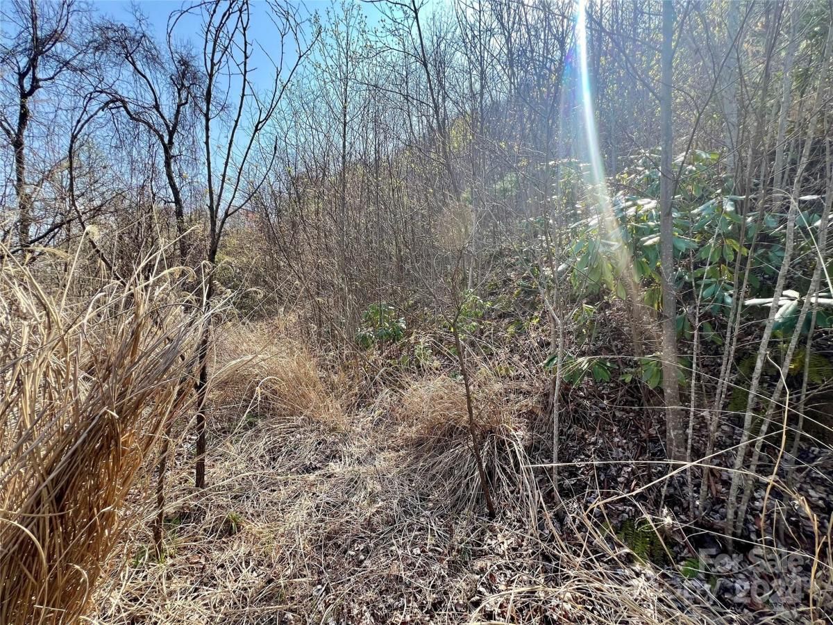 MLS #CAR4124901 image #20