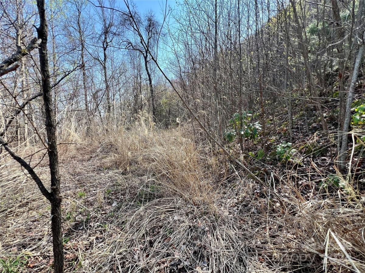 MLS #CAR4124901 image #21