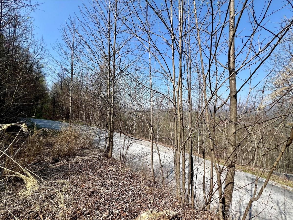 MLS #CAR4124901 image #22