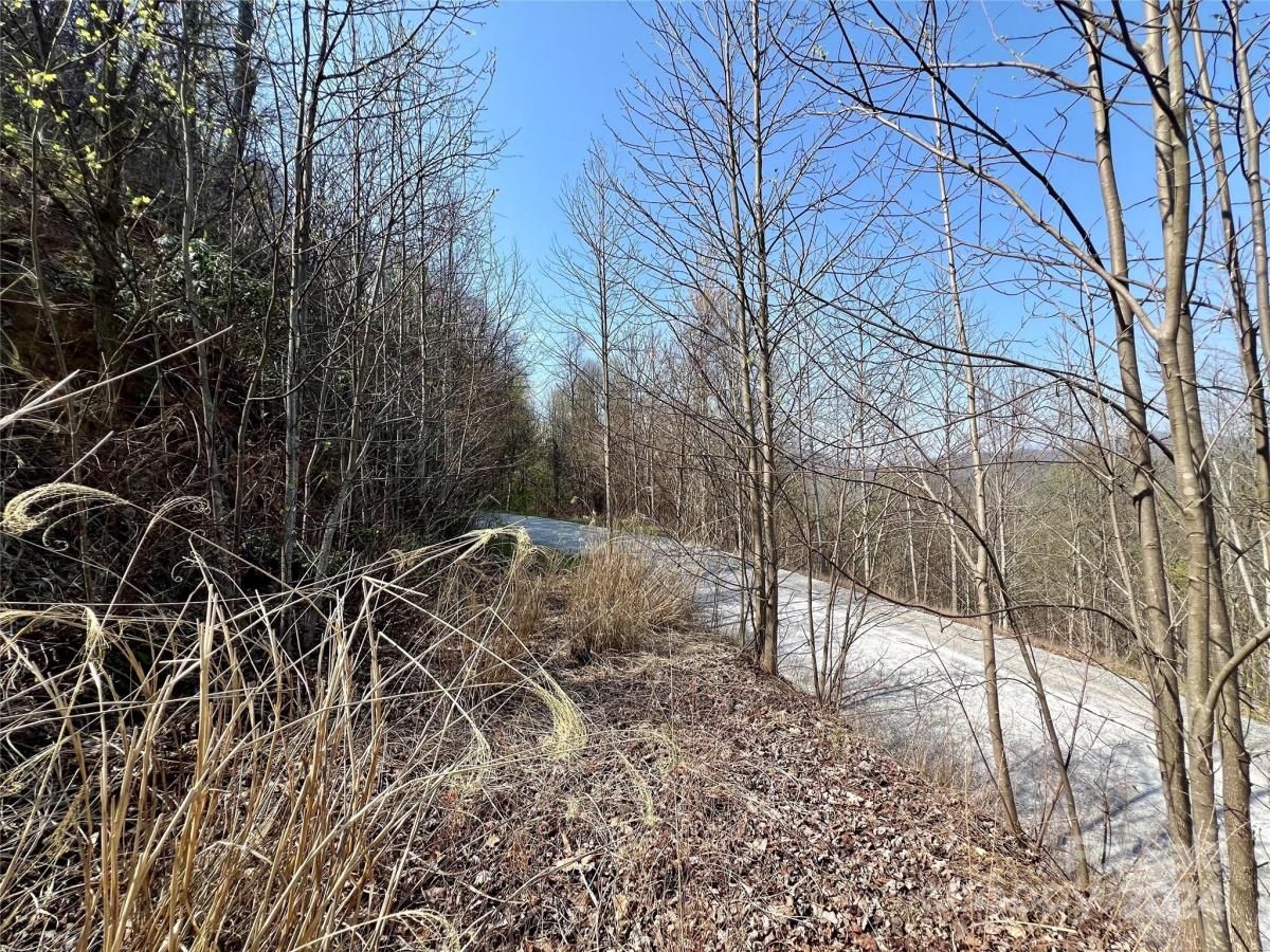 MLS #CAR4124901 image #23