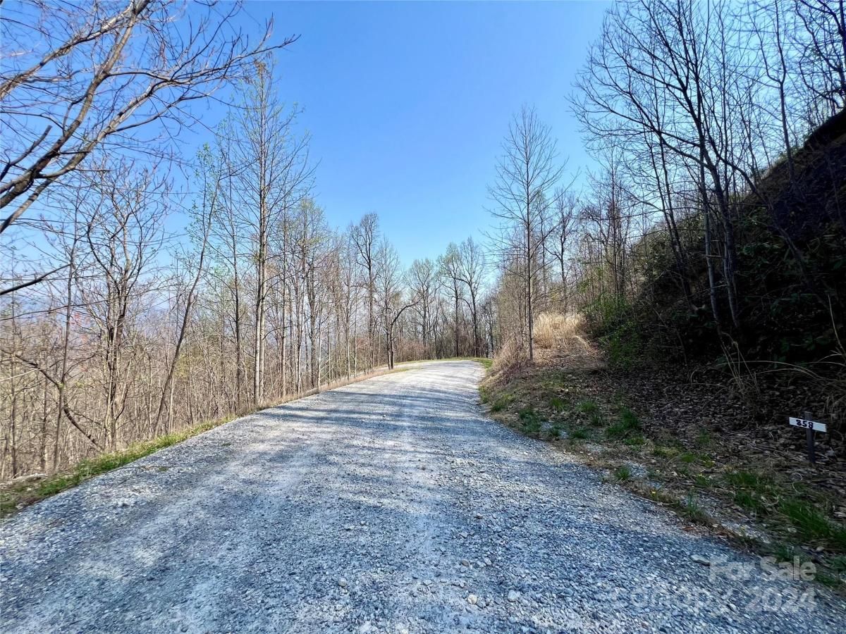 MLS #CAR4124901 image #24