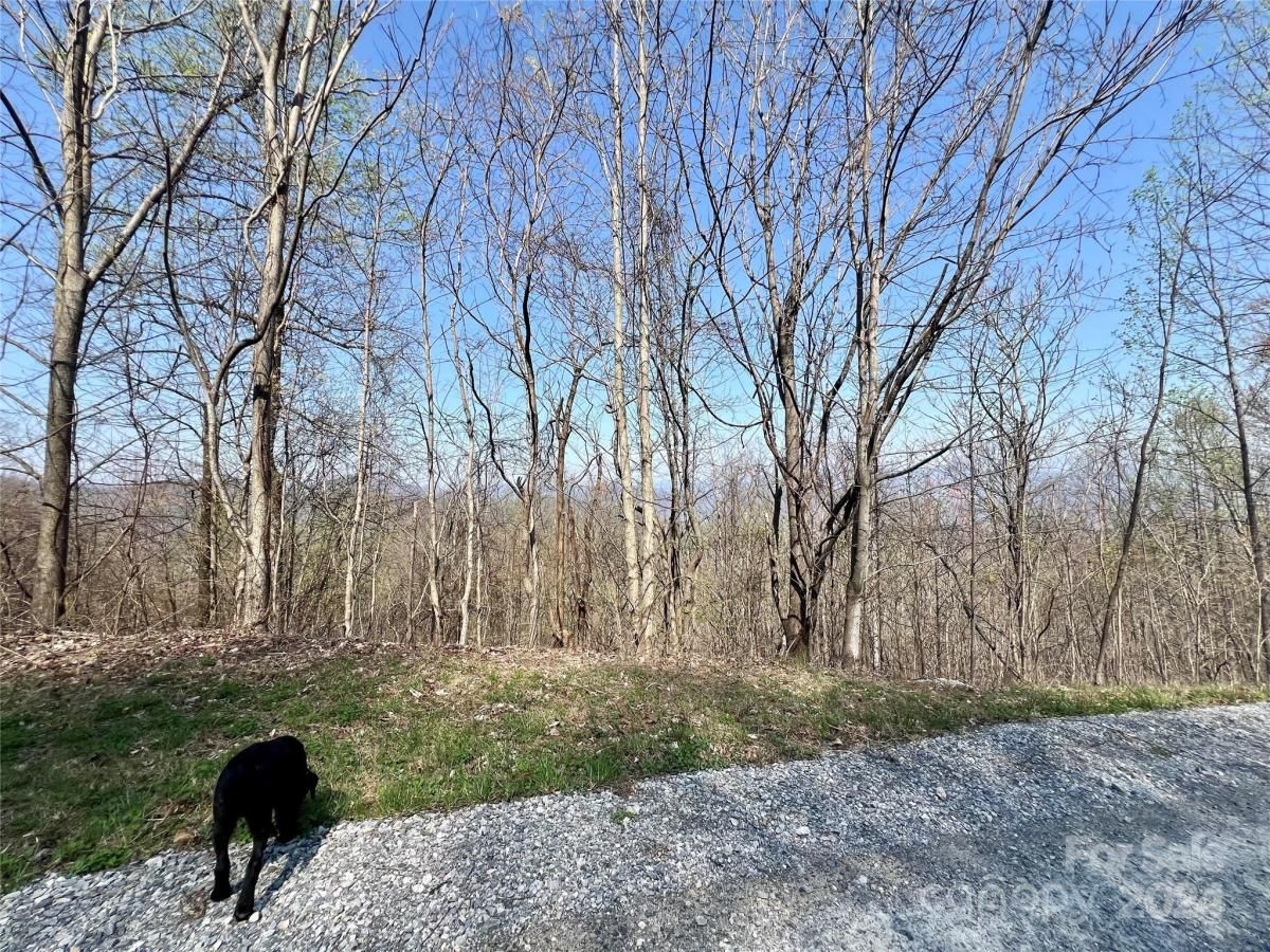 MLS #CAR4124901 image #26