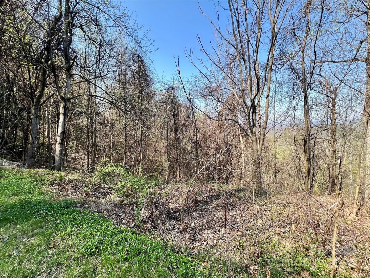 MLS #CAR4124901 image #27