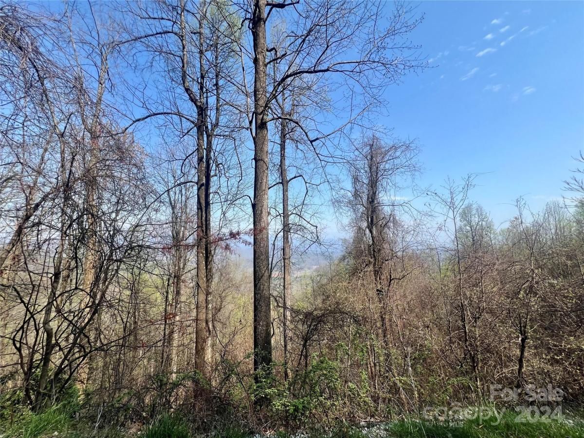 MLS #CAR4124901 image #3