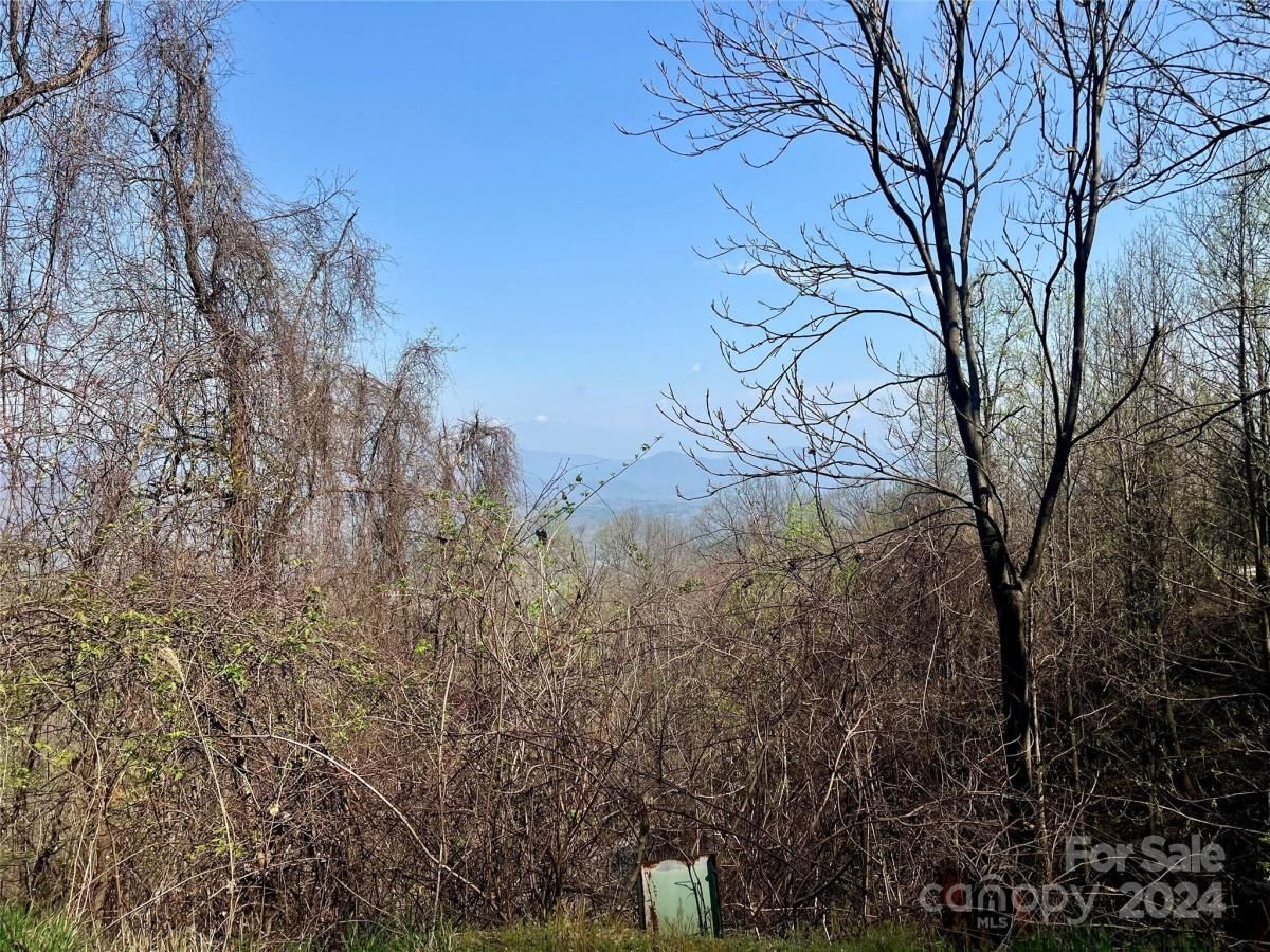 MLS #CAR4124901 image #4