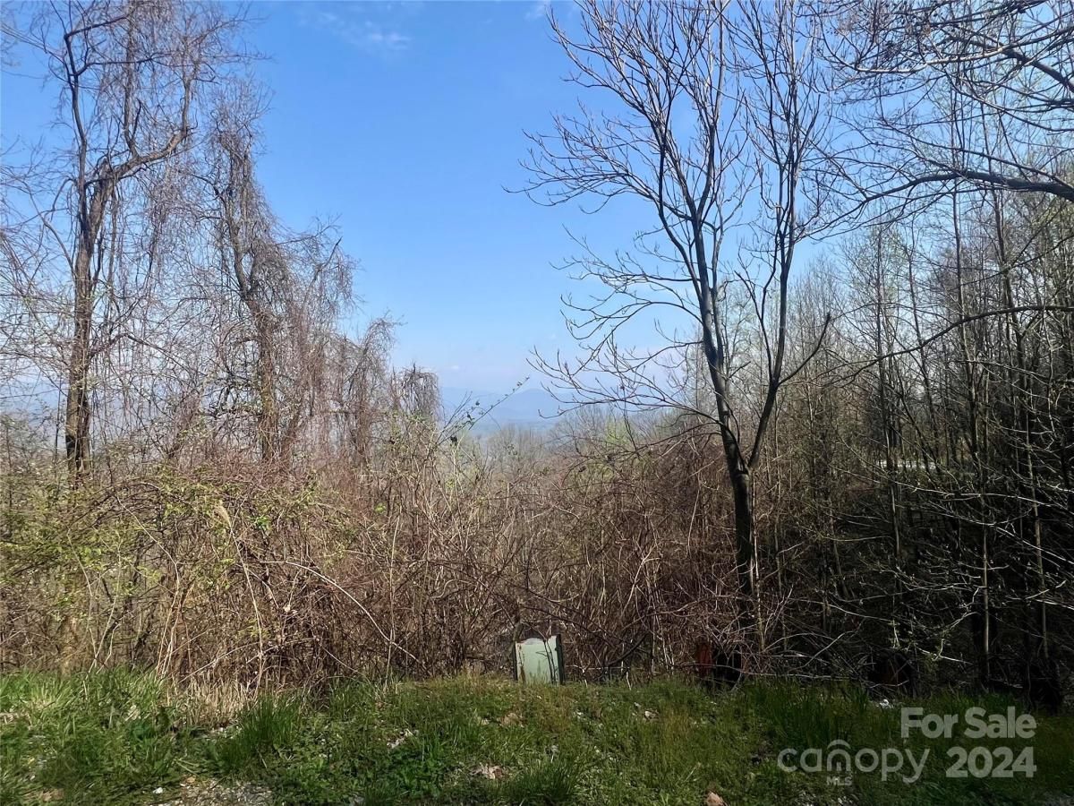 MLS #CAR4124901 image #5